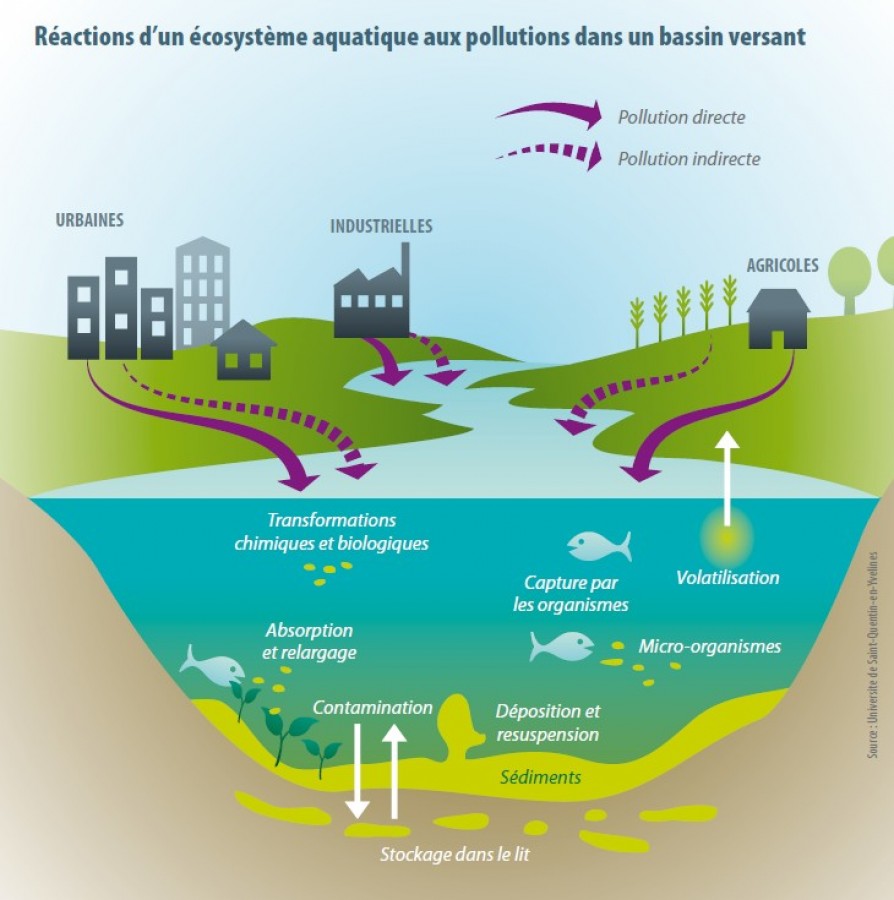La Pollution De L eau Un Fl au Invisble PERCEPTION La Pollution De L eau Un Fl au Invisble PERCEPTION